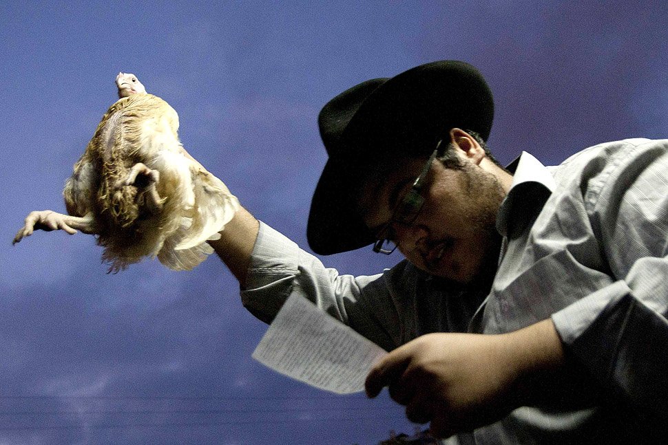 An Ultra-Orthodox Jewish man holds a chicken as he perform the Kaparot ritual ahead of the holiday of Yom Kippur in the Israeli city of Ashdod