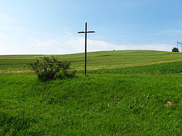Całkowicie zniszczony cmentarz, z którego wyróżnia się niewielki krzyż (Fot. dytiatyn.pl)