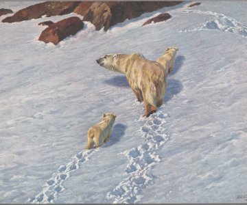 obraz: Richard Friese i "Eisbären mit zwei Jungen in Schneelandschaft" (Niedźwiedzie polarne z dwoma młodymi na tle śnieżnego krajobrazu"